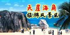大学老师日屄视频网站海南三亚-天崖海角旅游风景区