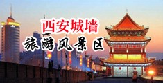 同性恋肏屄浪叫视频中国陕西-西安城墙旅游风景区